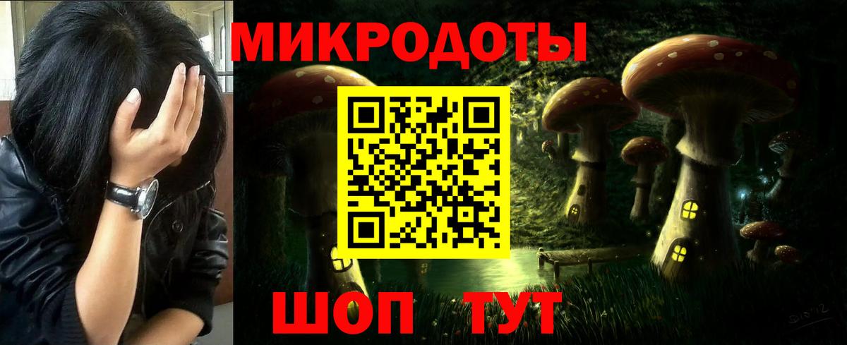 Псилоцибиновые грибы Psilocybe Нововоронеж